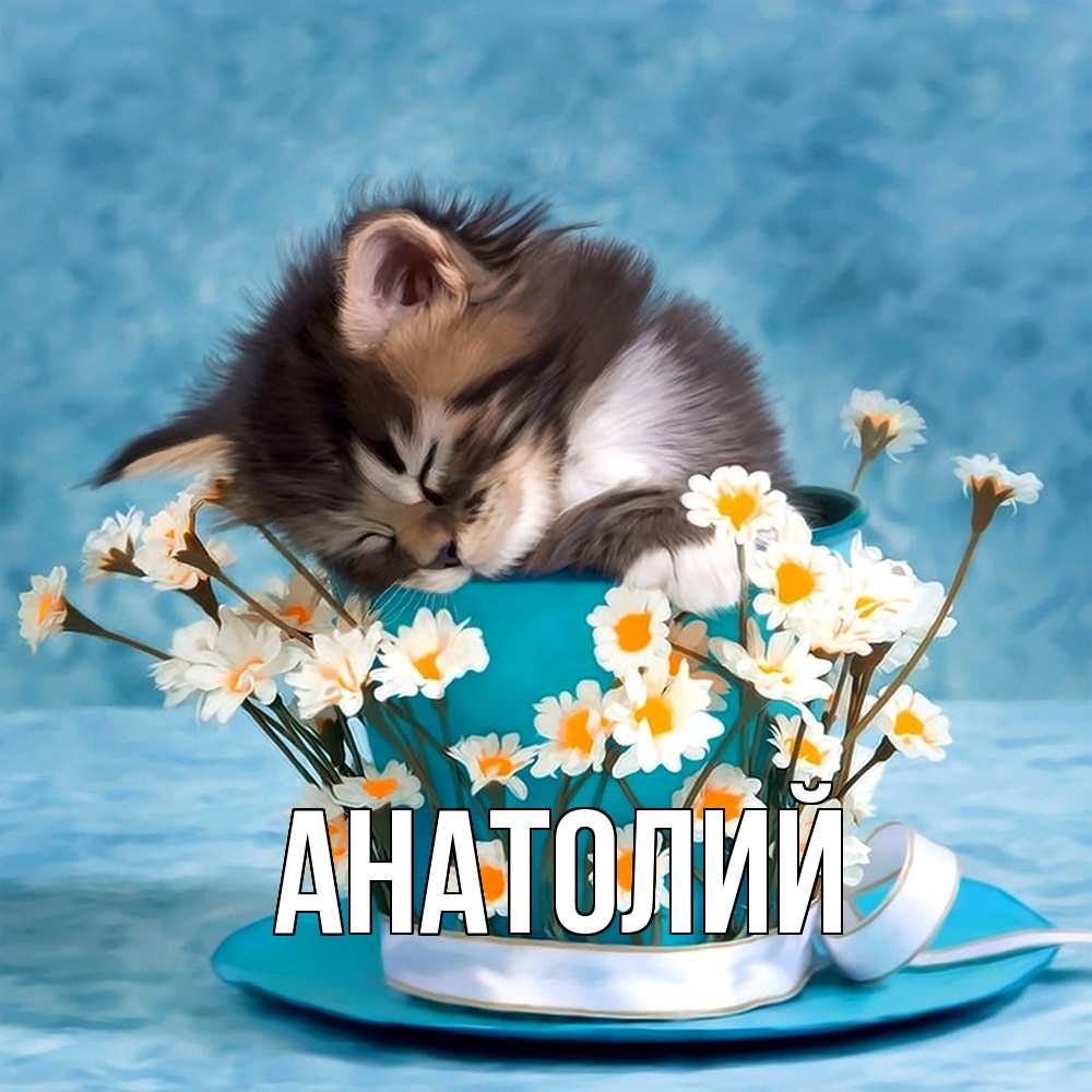 Открытка  с именем. Анатолий, Главная  