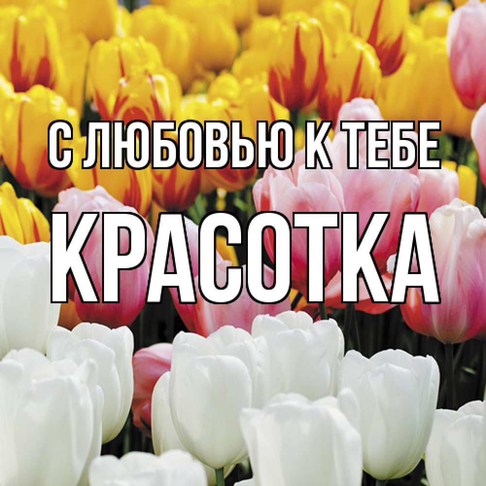 Открытка  с именем. Красотка, С любовью к тебе  