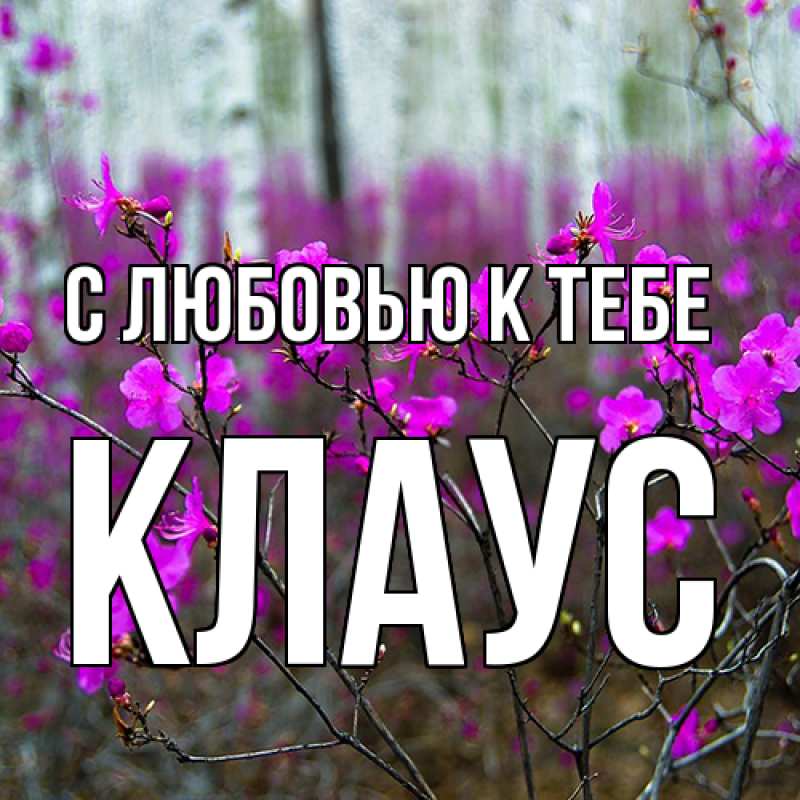 Картинка С любовью к тебе, Клаус