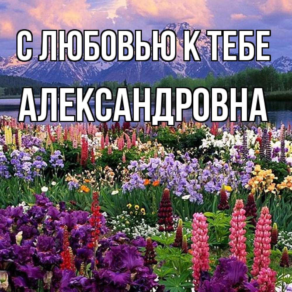 Открытка  с именем. Александровна, С любовью к тебе  