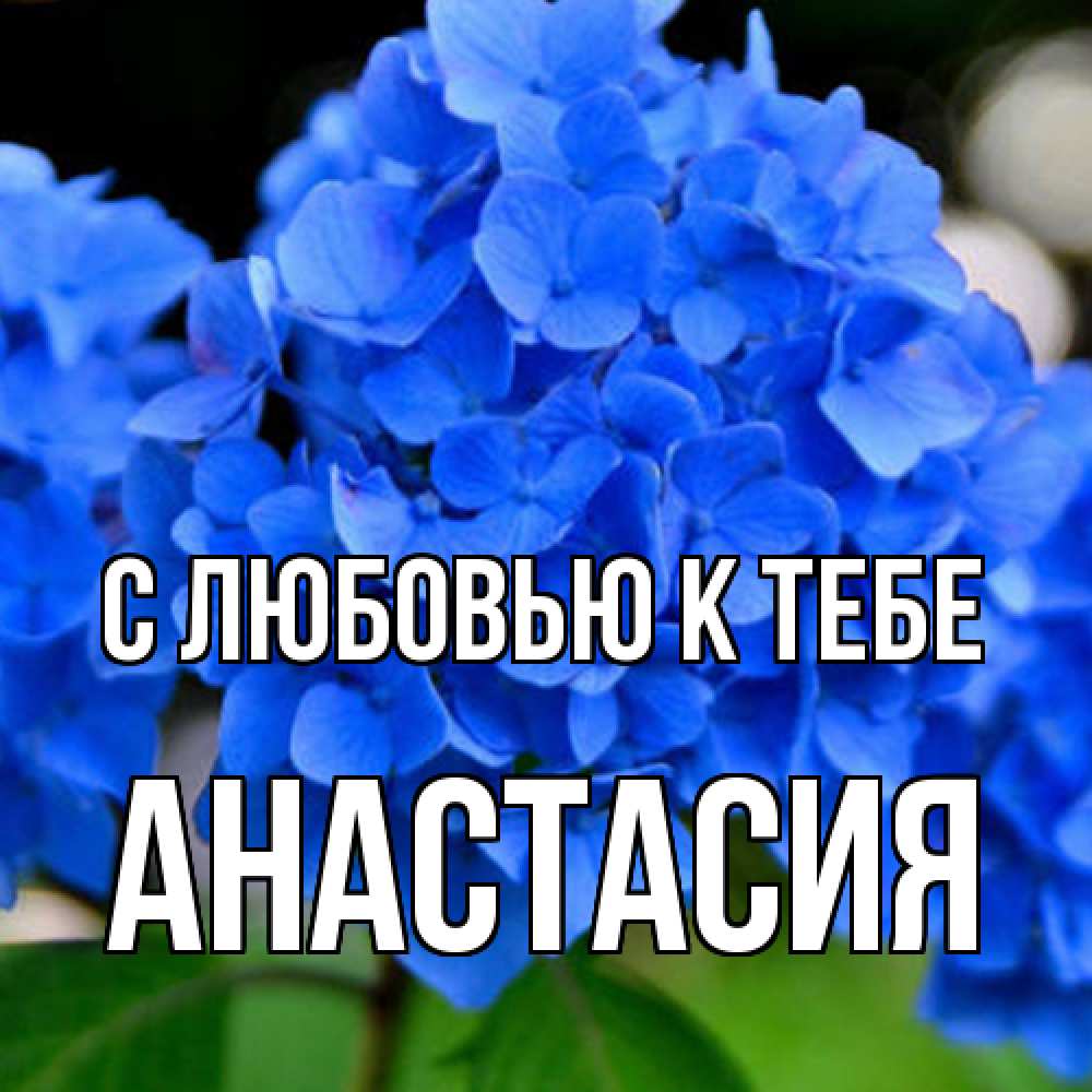 Открытка  с именем. Анастасия, С любовью к тебе  