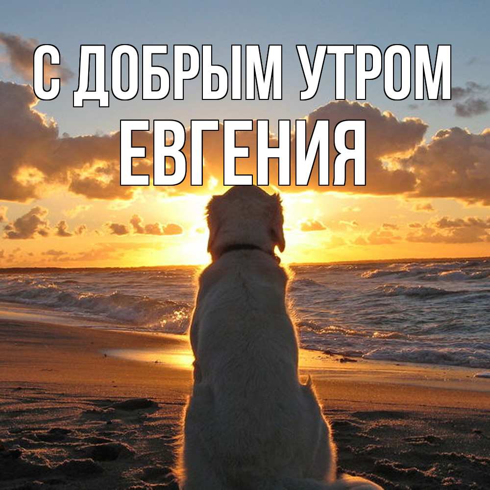 Открытка  с именем. Евгения, С добрым утром  