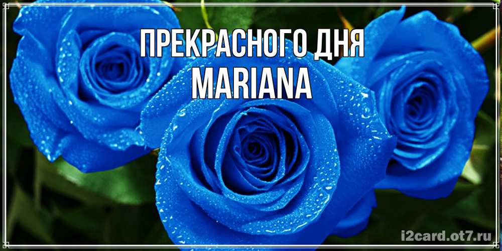 Открытка  с именем. mariana, Прекрасного дня  