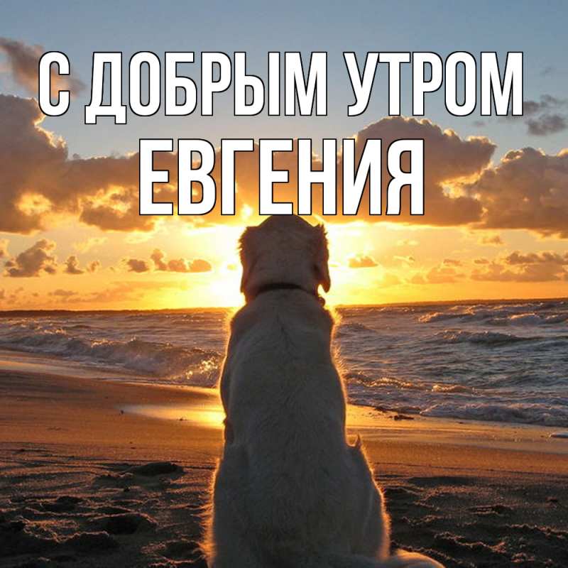 Картинка С добрым утром, Евгения