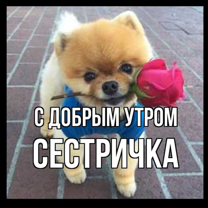 Картинка С добрым утром, Сестричка