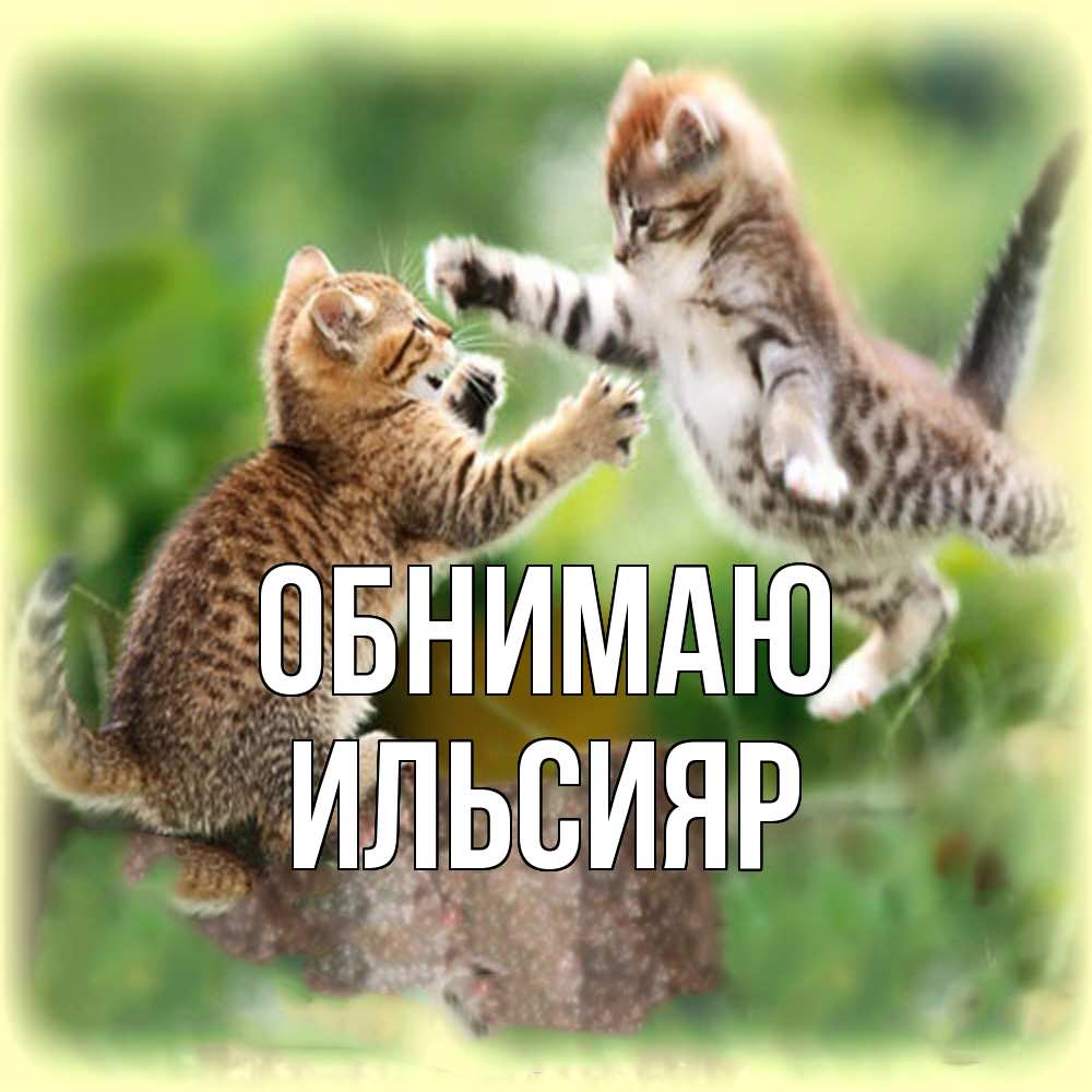 Открытка  с именем. Ильсияр, Обнимаю  