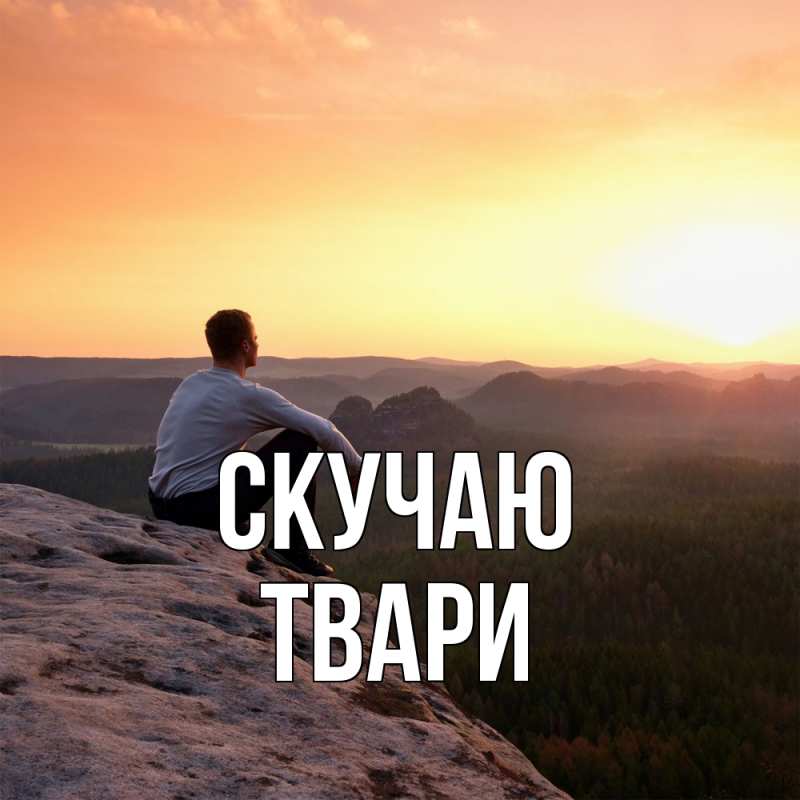 Картинка Скучаю, твари