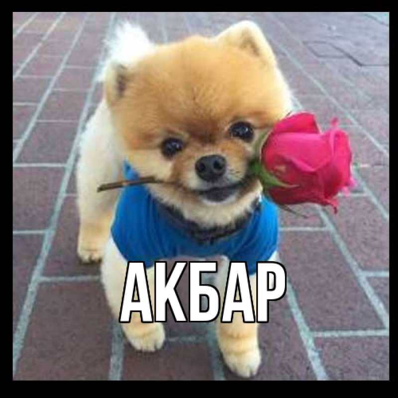 Картинка  с именем , Акбар