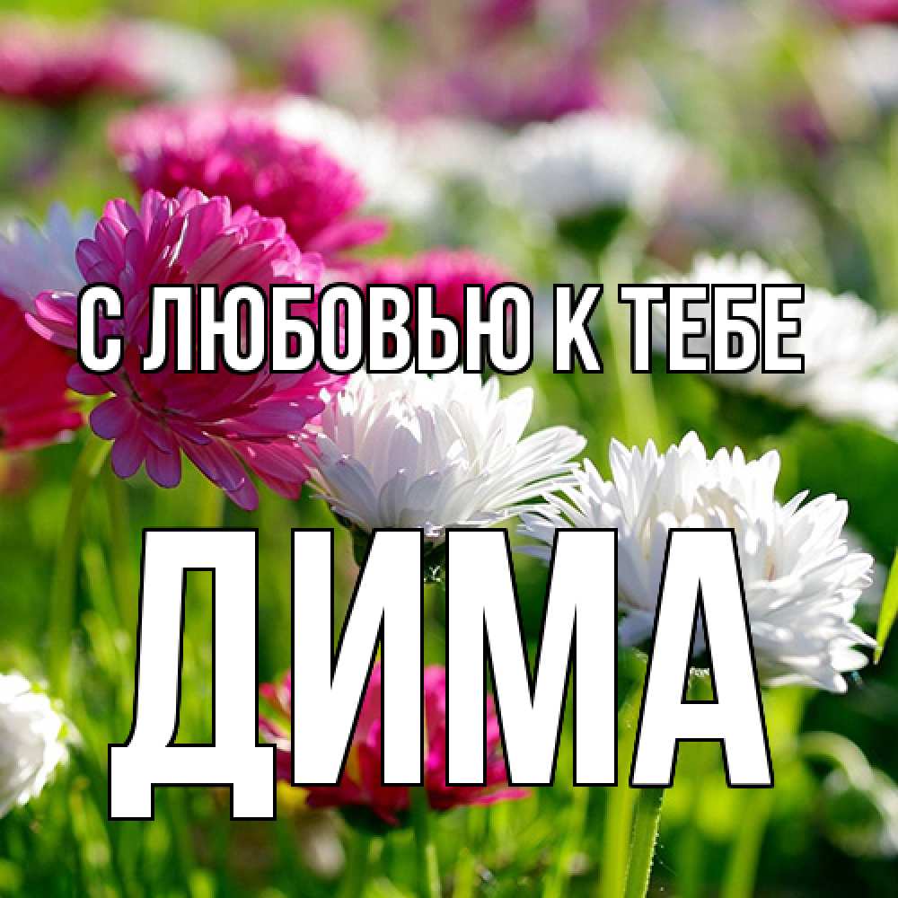 Открытка  с именем. Дима, С любовью к тебе  