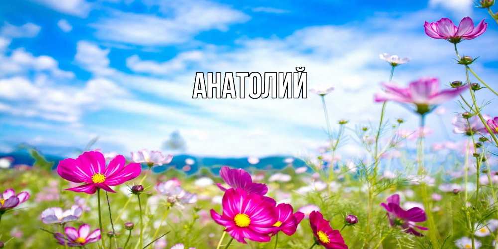 Открытка  с именем. Анатолий, Главная  