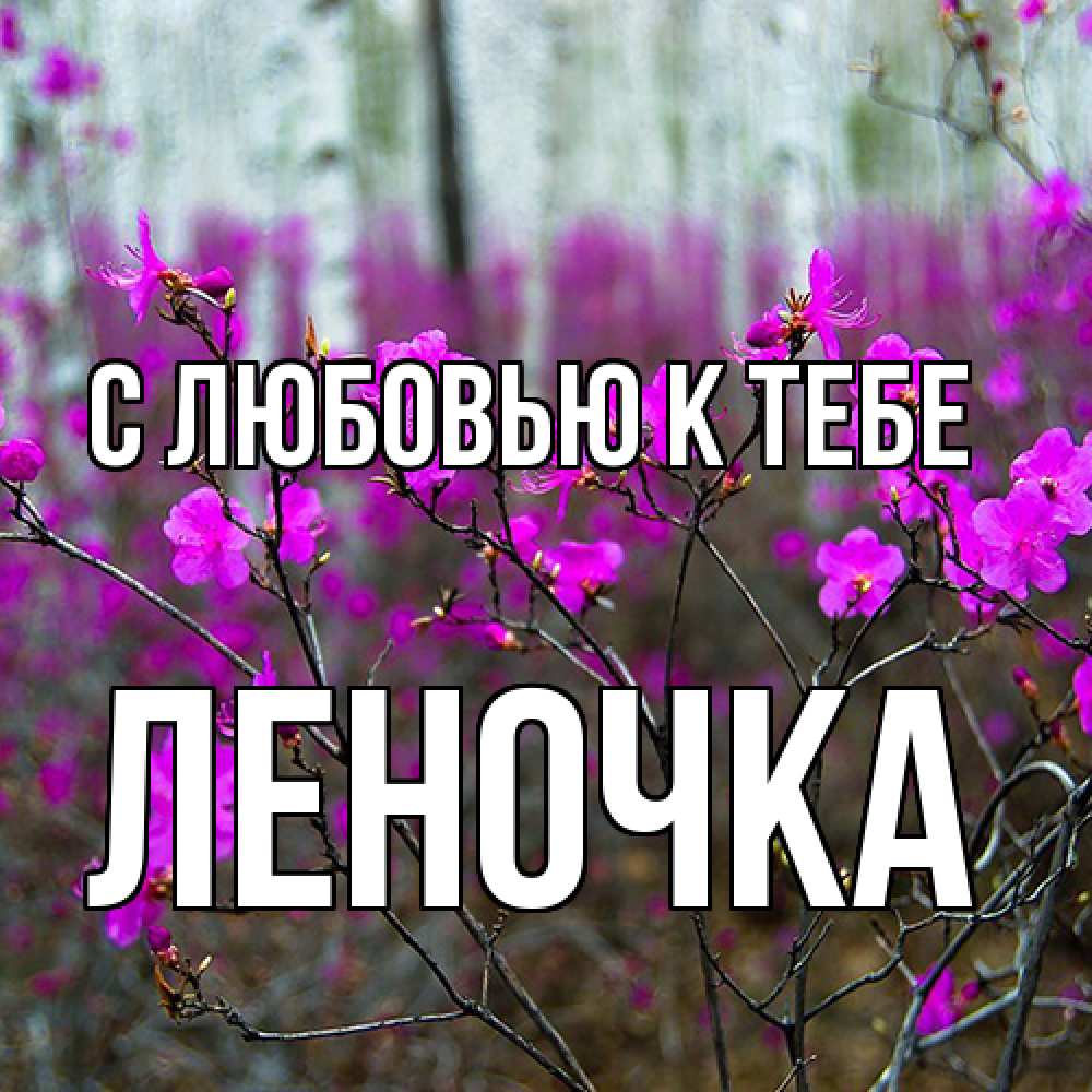 Открытка  с именем. ЛЕНОЧКА, С любовью к тебе  