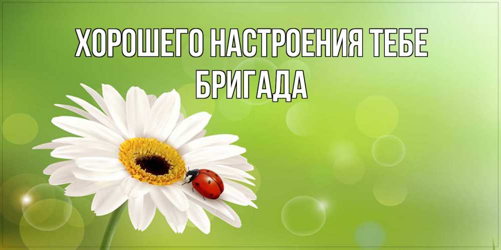 Открытка  с именем. Бригада, Хорошего настроения тебе  