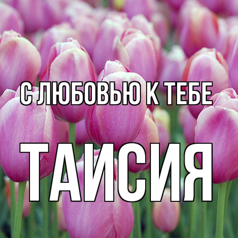 Открытка  с именем. Таисия, С любовью к тебе  