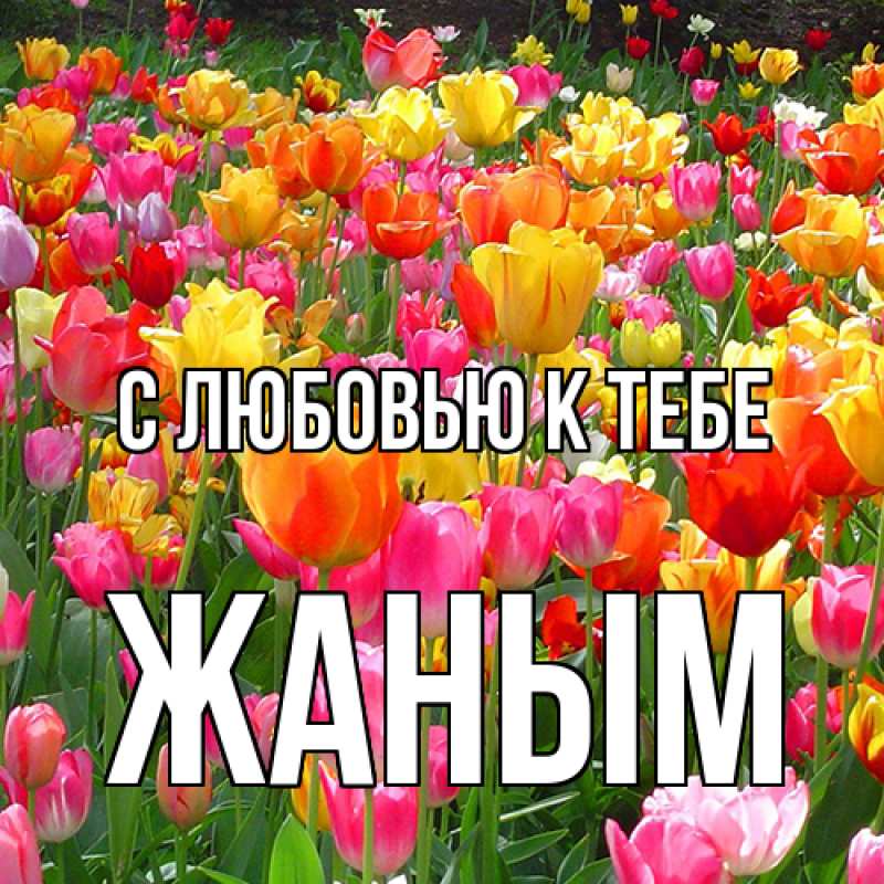 Картинка С любовью к тебе, Жаным