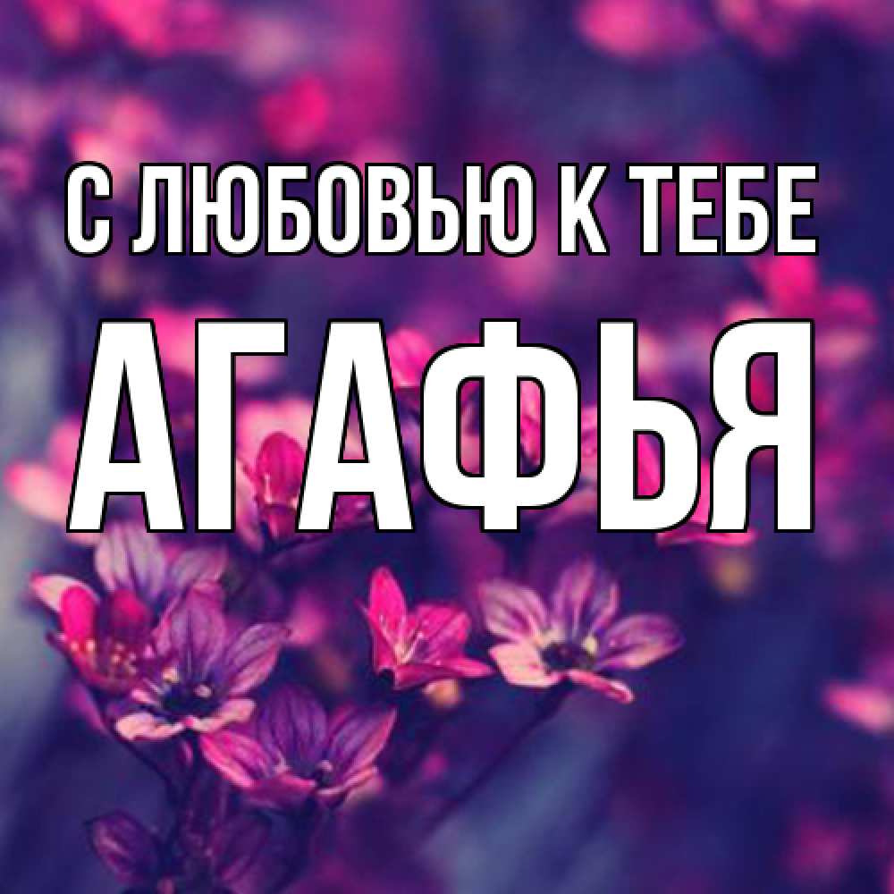 Открытка  с именем. Агафья, С любовью к тебе  