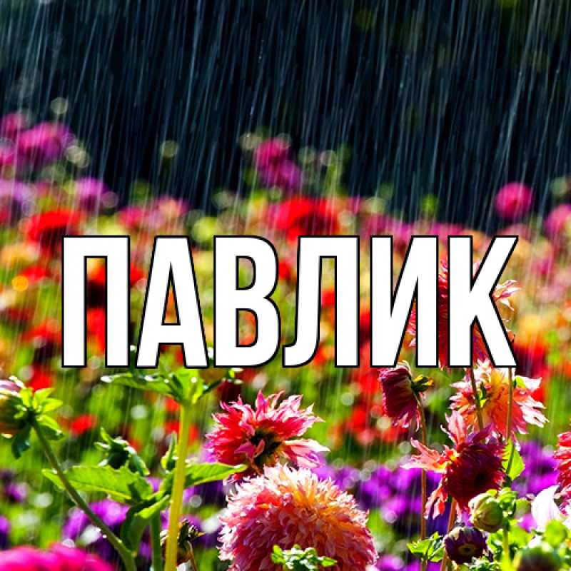 Картинка  с именем , Павлик