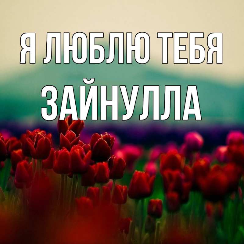 Картинка Я люблю тебя, Зайнулла