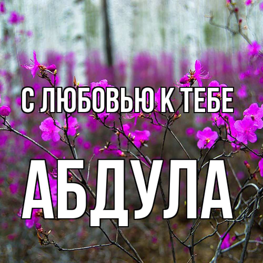 Открытка  с именем. Абдула, С любовью к тебе  