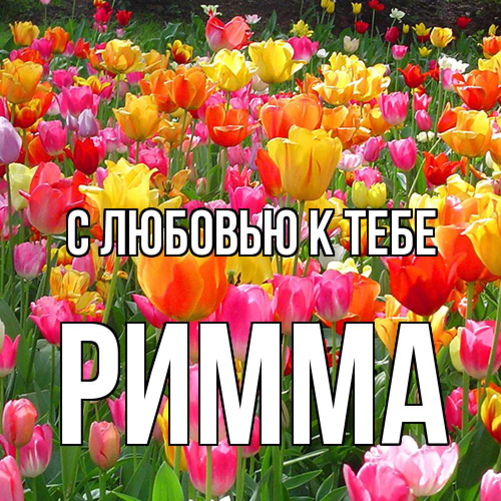 Открытка  с именем. Римма, С любовью к тебе  