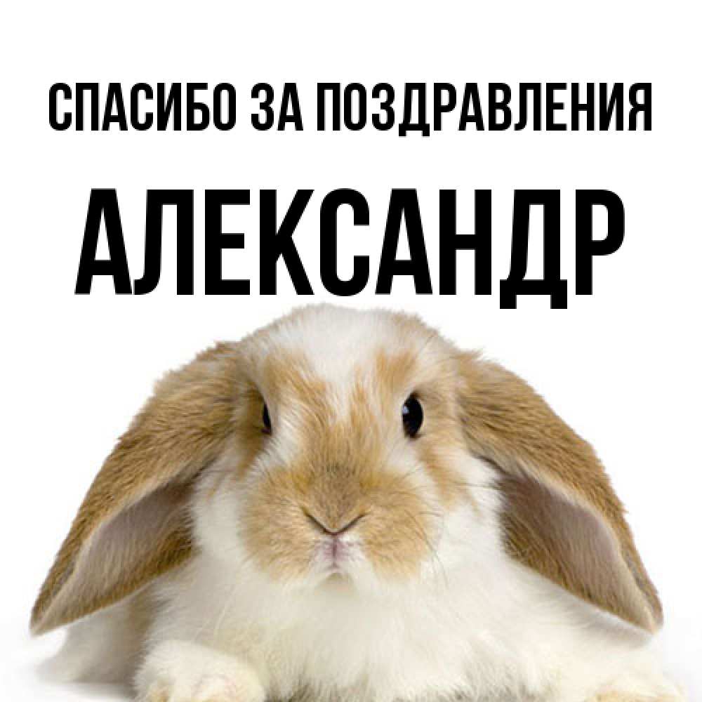 Открытка  с именем. александр, Спасибо за поздравления  