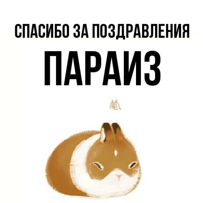 Картинка Спасибо за поздравления, Параиз