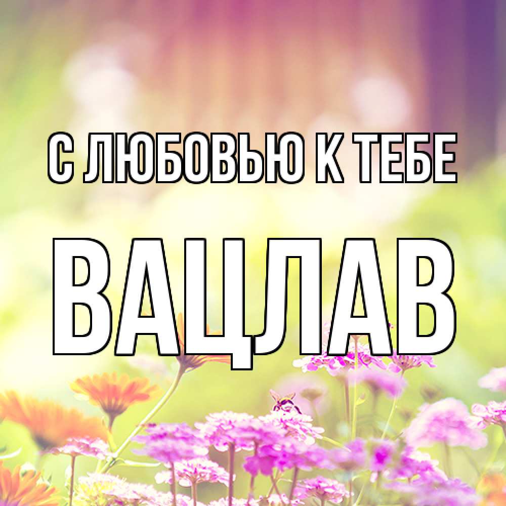Открытка  с именем. Вацлав, С любовью к тебе  