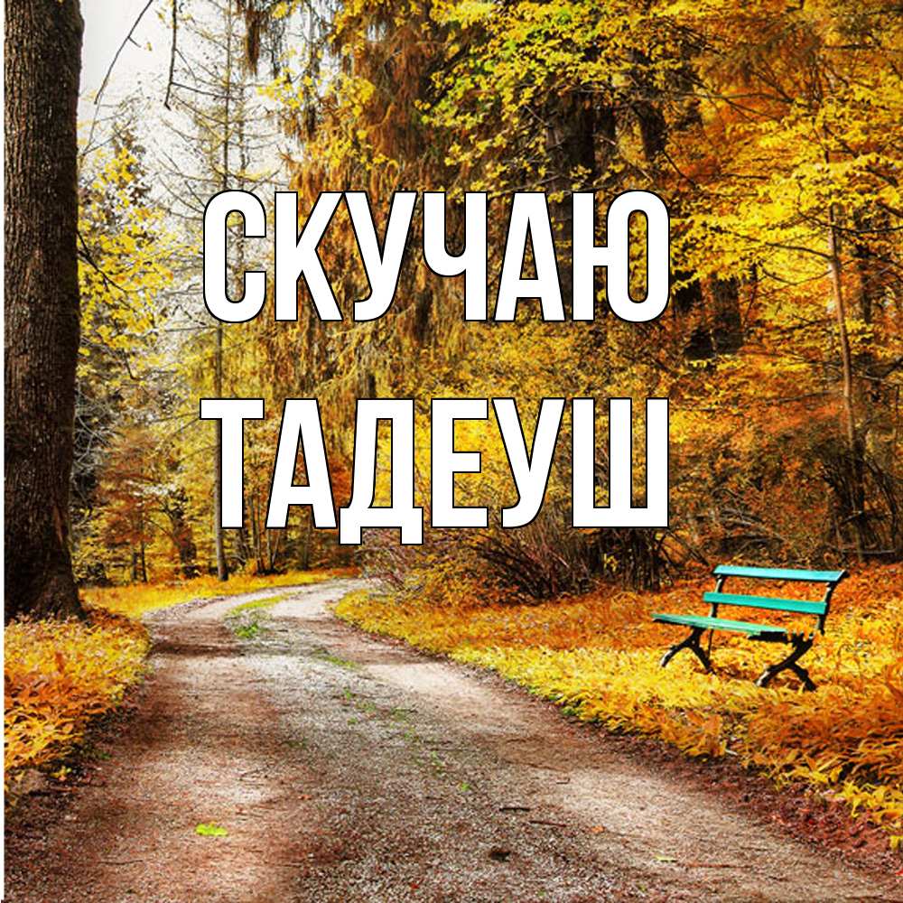 Открытка  с именем. Тадеуш, Скучаю  