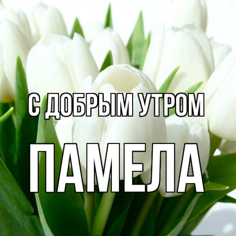 Картинка С добрым утром, Памела