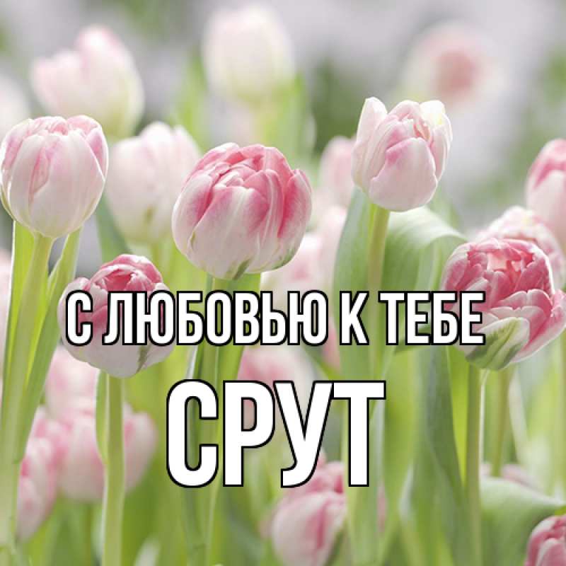 Картинка С любовью к тебе, срут