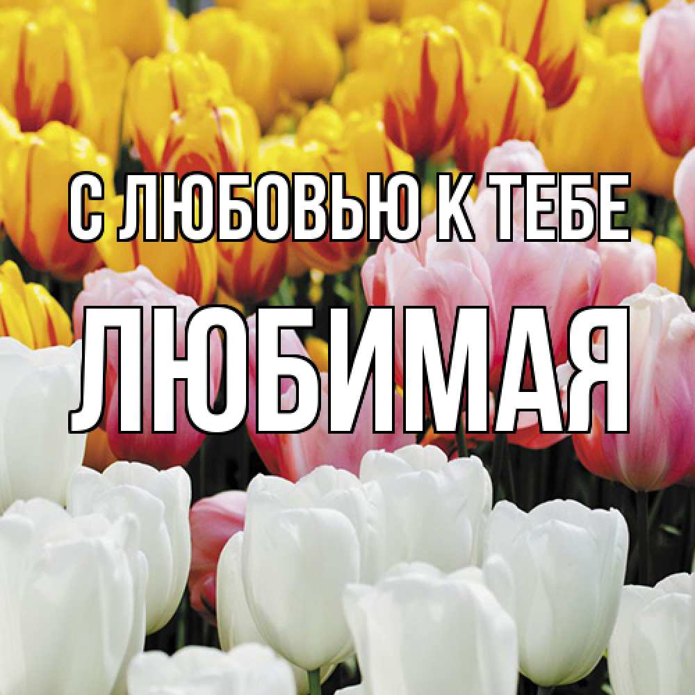 Открытка  с именем. Любимая, С любовью к тебе  