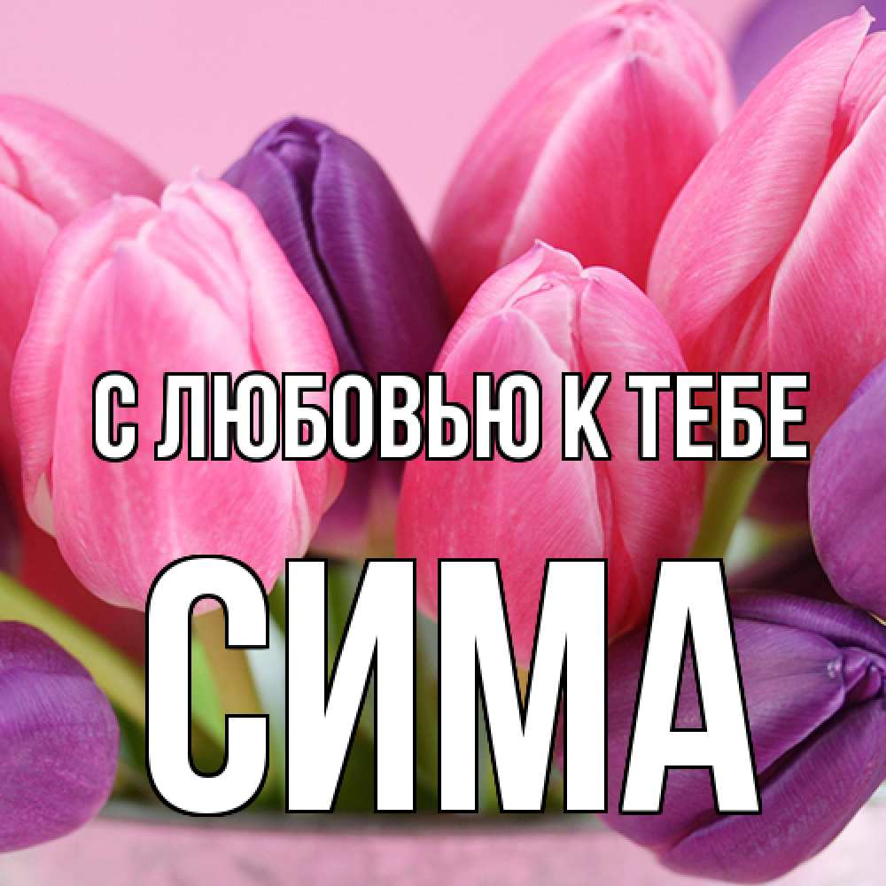 Открытка  с именем. Сима, С любовью к тебе  