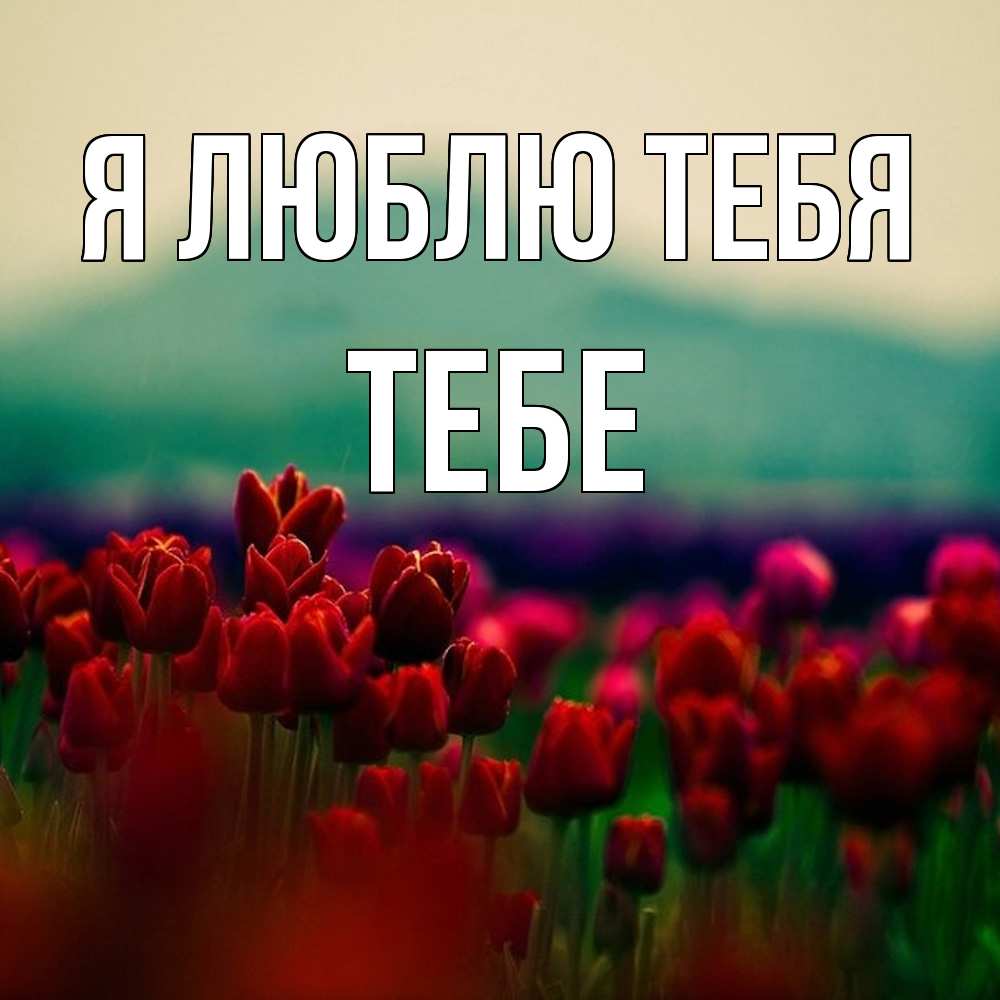 Открытка  с именем. Тебе, Я люблю тебя  