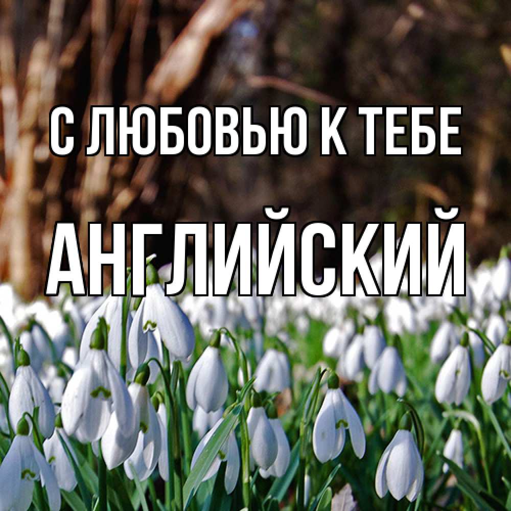 Открытка  с именем. Английский, С любовью к тебе  