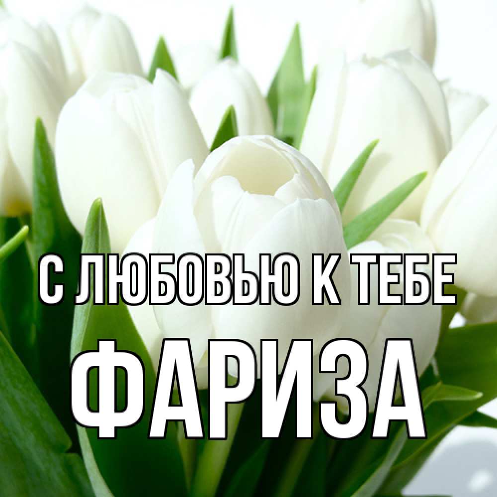 Открытка  с именем. Фариза, С любовью к тебе  