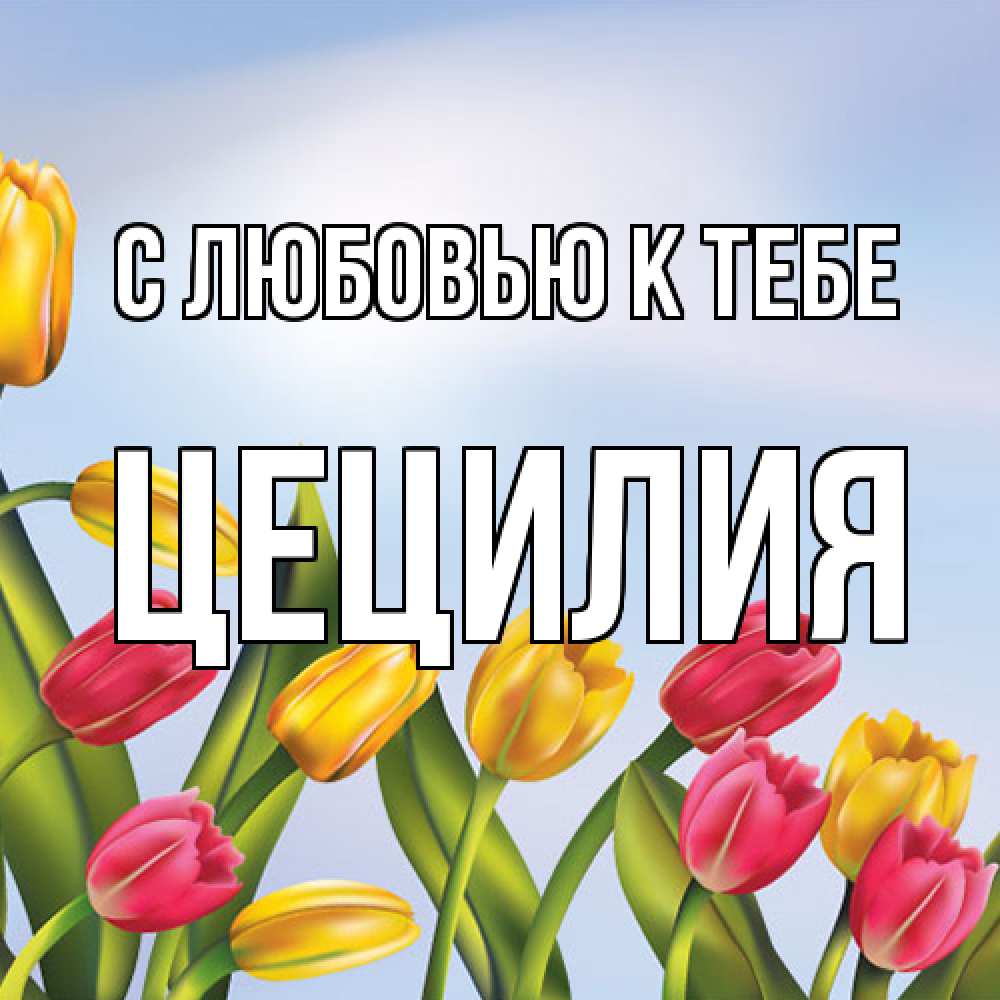 Открытка  с именем. Цецилия, С любовью к тебе  