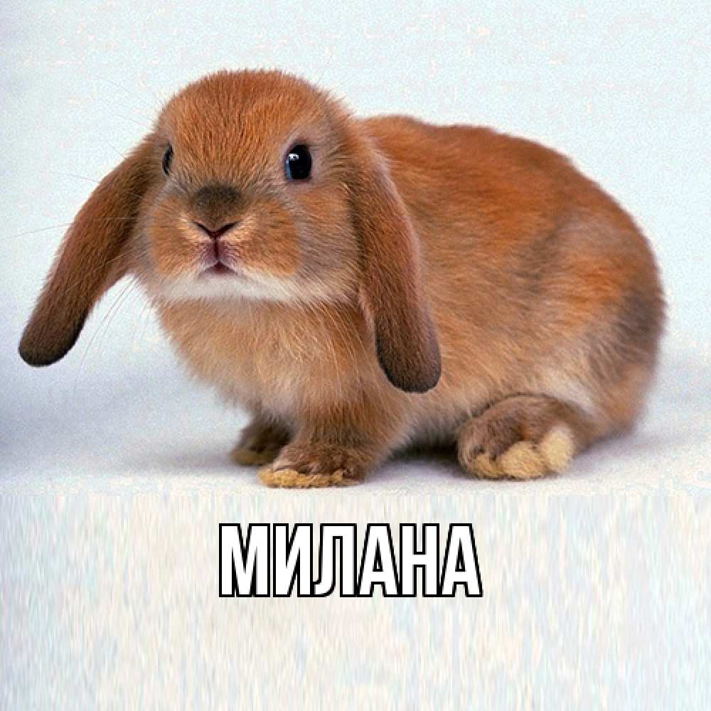 Открытка  с именем. Милана, Главная  