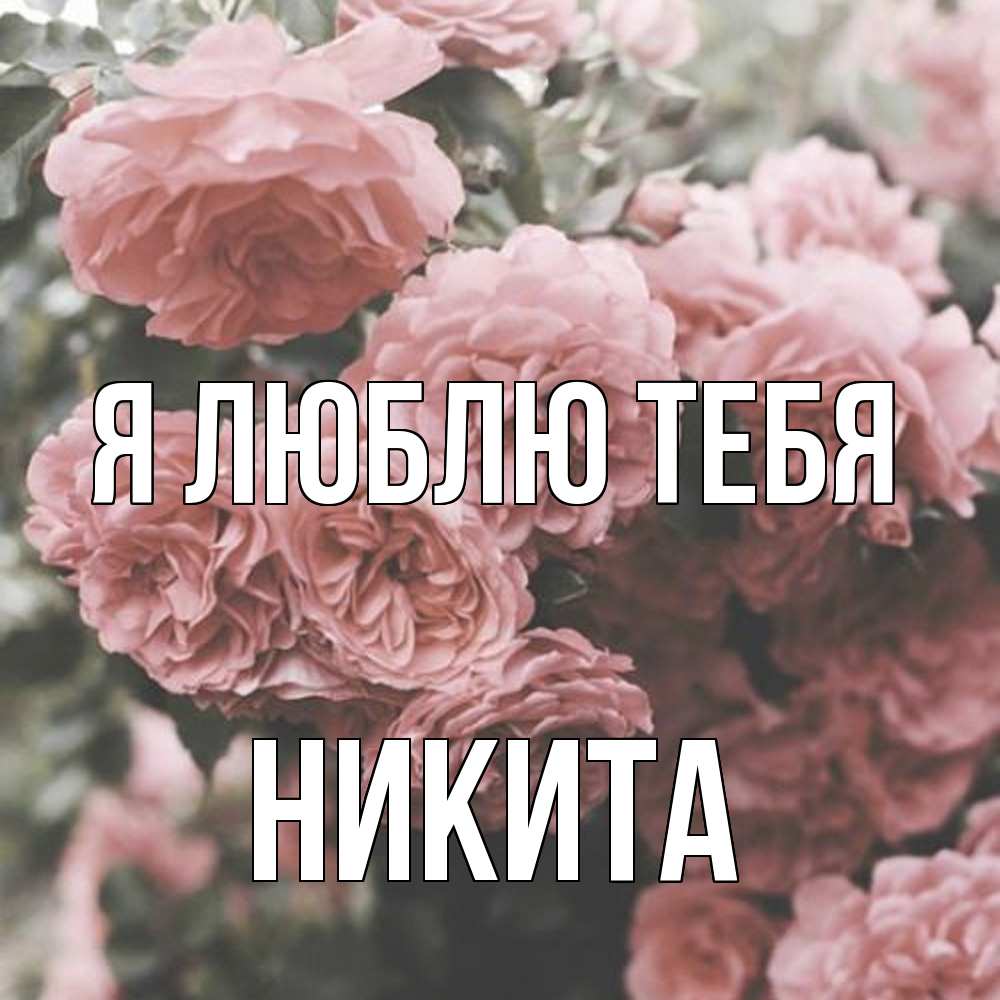 Открытка  с именем. Никита, Я люблю тебя  