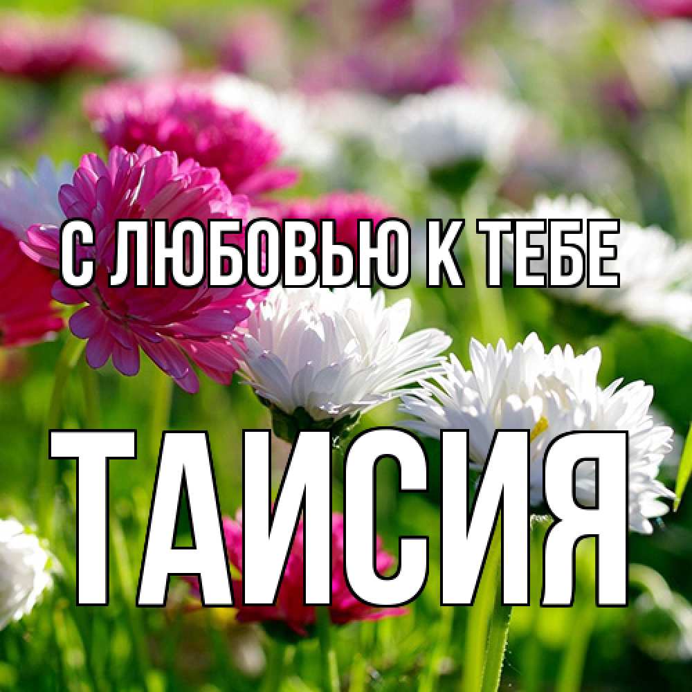 Открытка  с именем. Таисия, С любовью к тебе  
