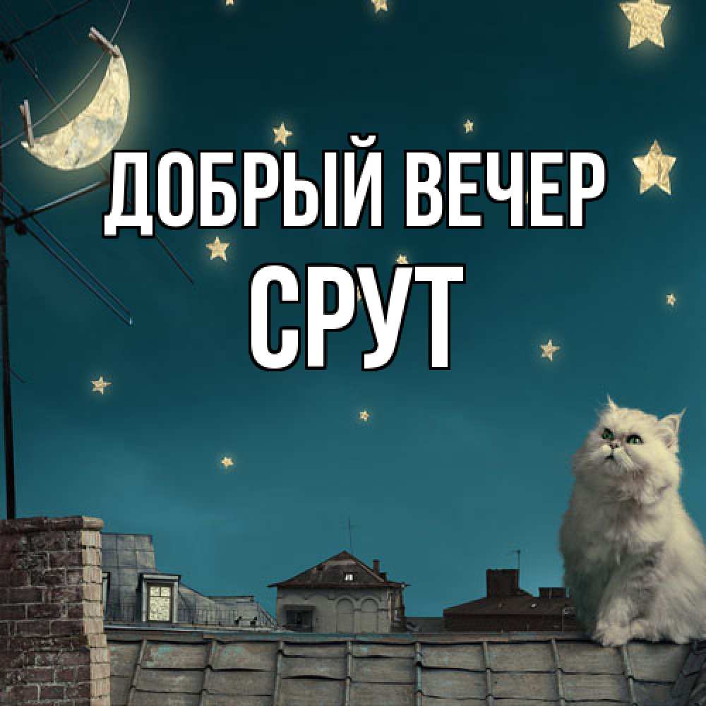 Открытка  с именем. срут, Добрый вечер  