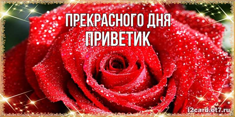 Картинка Прекрасного дня, приветик