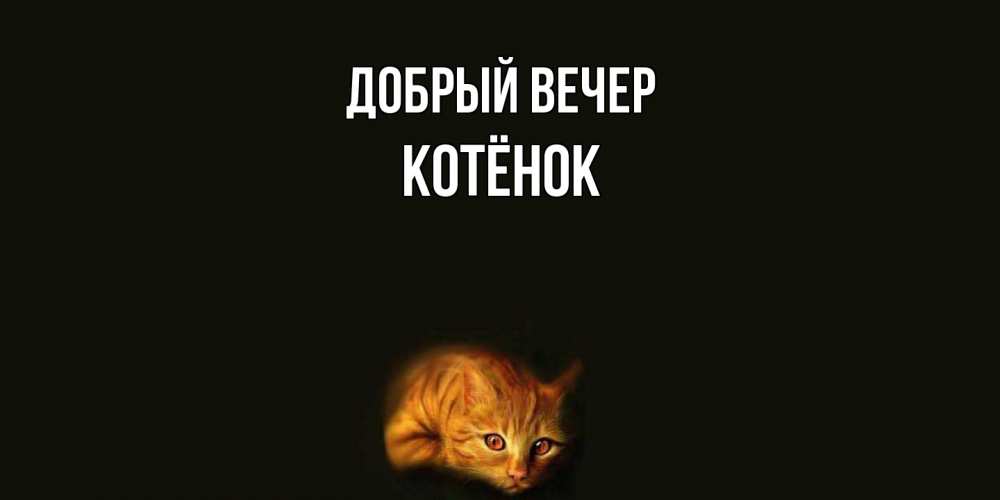 Открытка  с именем. Котёнок, Добрый вечер  