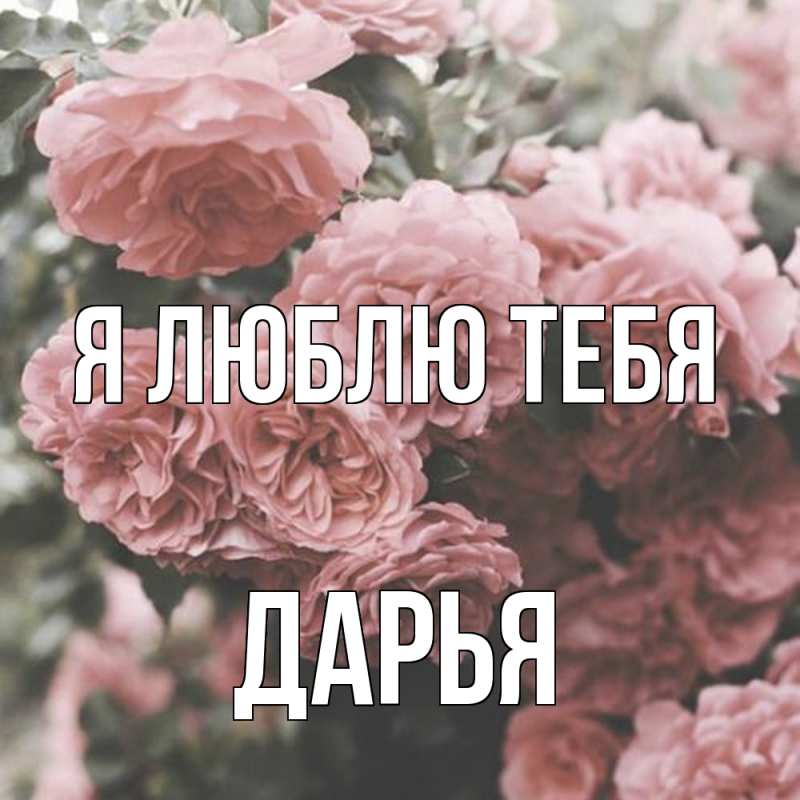 Картинка Я люблю тебя, Дарья