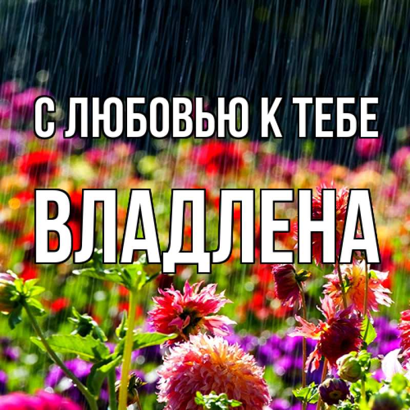 Картинка С любовью к тебе, Владлена