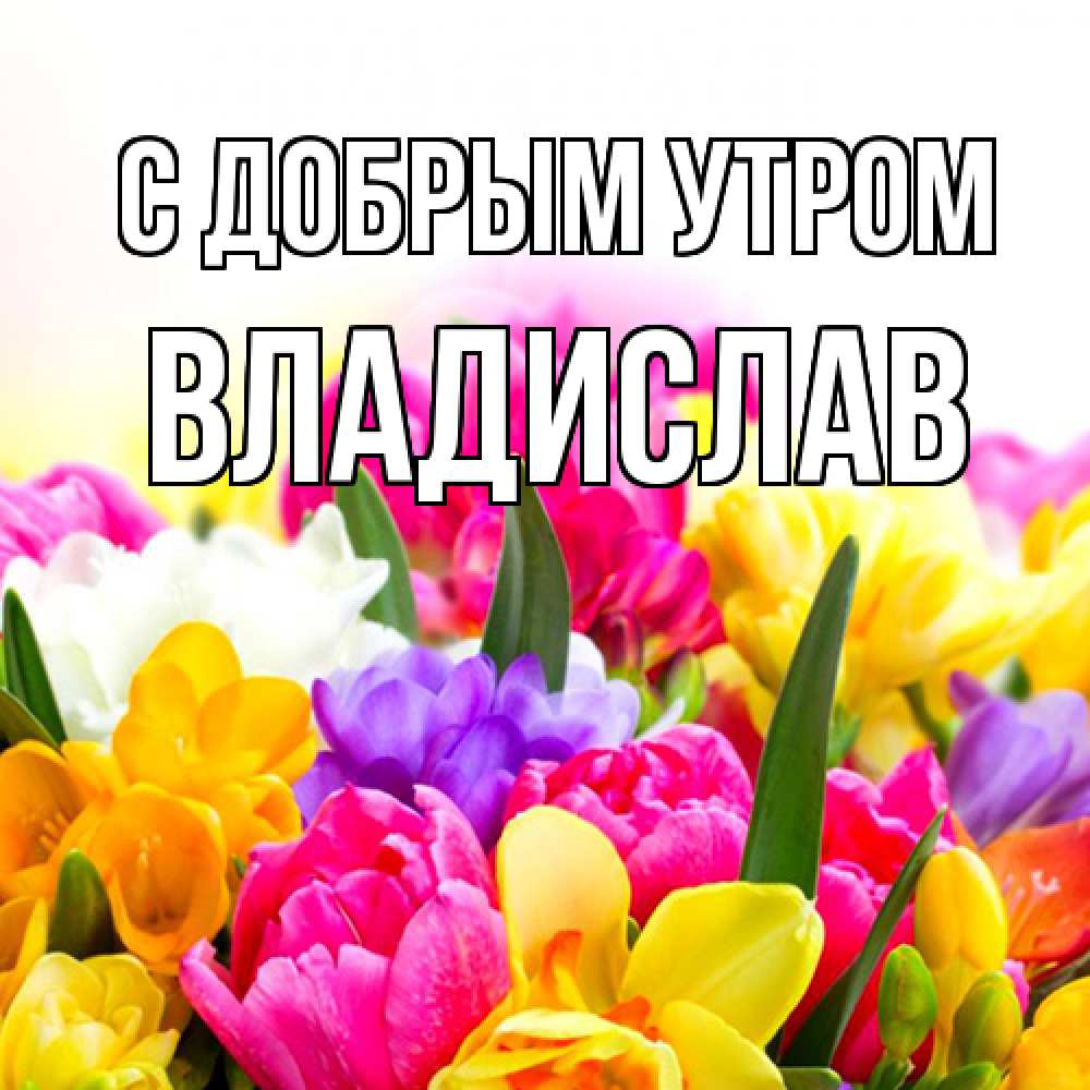 Открытка  с именем. Владислав, С добрым утром  