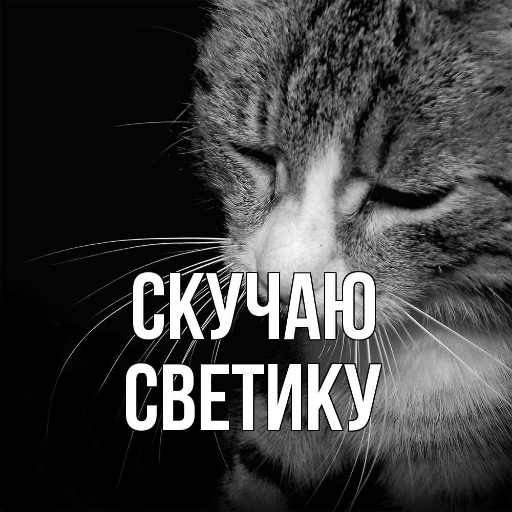 Открытка  с именем. Светику, Скучаю  