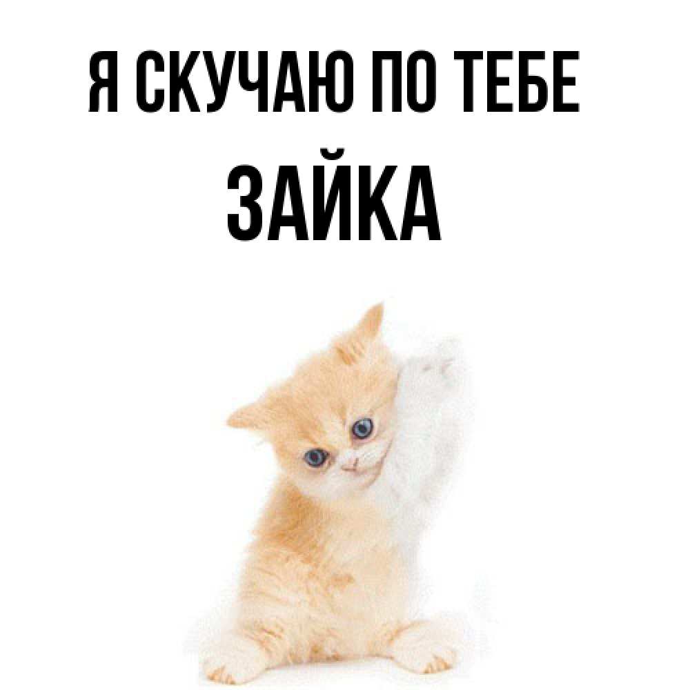 Открытка  с именем. Зайка, Я скучаю по тебе  