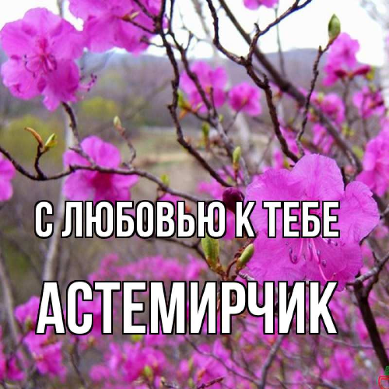 Картинка С любовью к тебе, Астемирчик