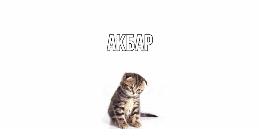 Открытка  с именем. Акбар, Главная  