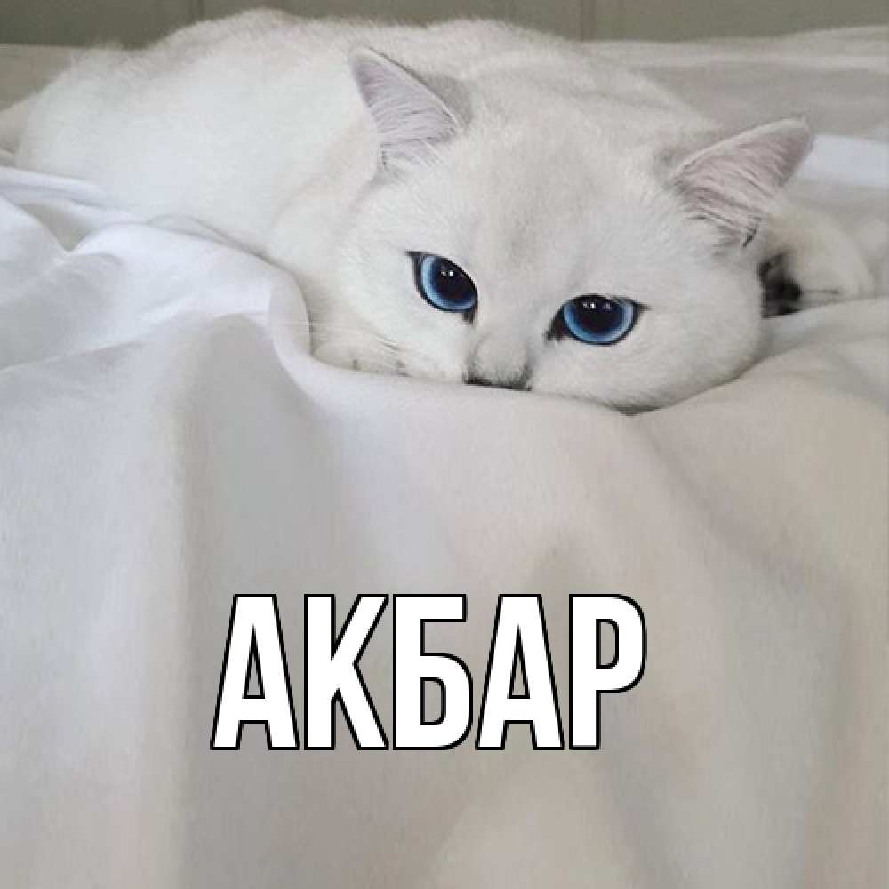 Открытка  с именем. Акбар, Главная  