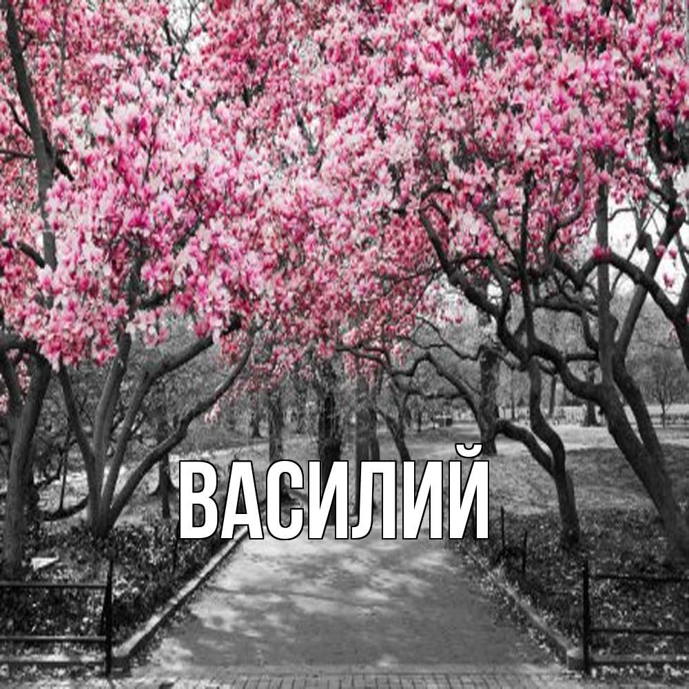Открытка  с именем. Василий, Главная  